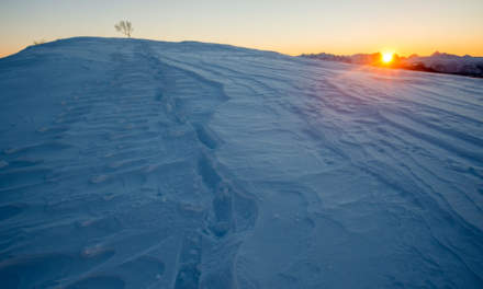 Snowshoe tracks on the Hovden