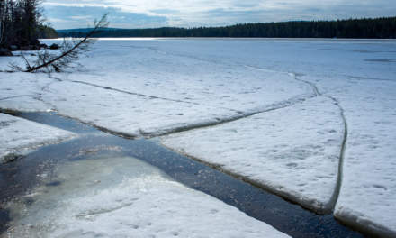 Skellefteälven – partly still ice covered