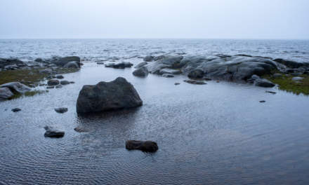 Rainy day at the shore of the Baltic Sea