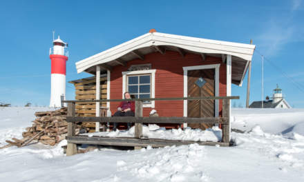 Gåsören – the sauna