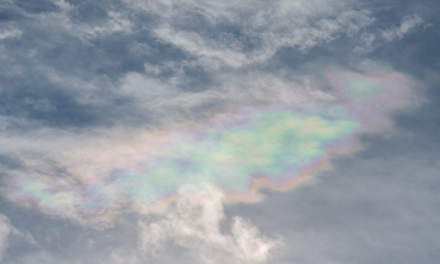 Multicoloured  cloud
