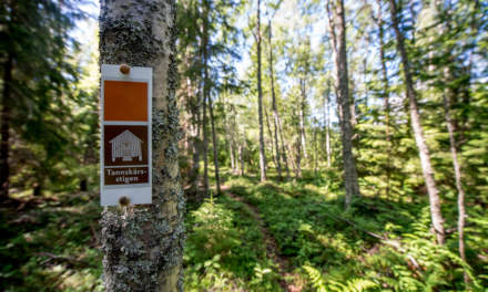 The Tandskärsstigen – a forest path