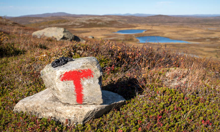 Red T – the Norwegian waymark