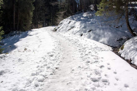 The trail to the summit