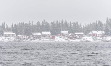 Snow showers over the island Bredskär