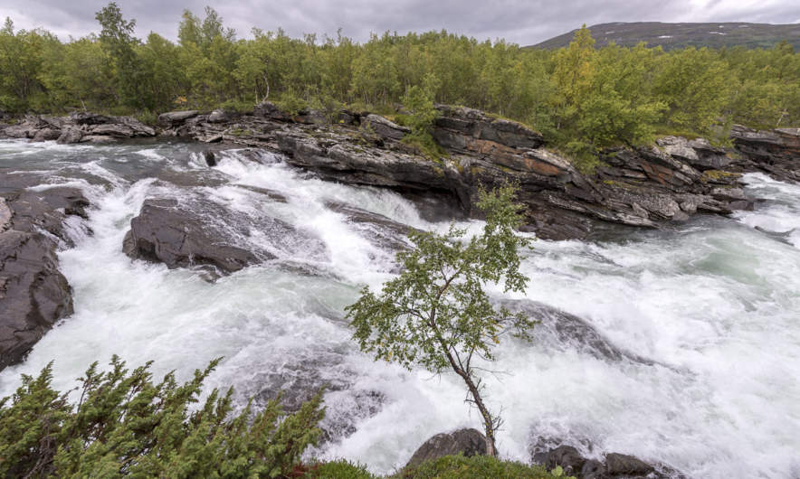 The river Ábeskoeatnu (Abiskojåkka)
