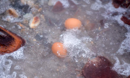 Boiling eggs in the cooking water