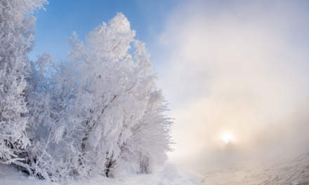 Fog and rime at the Bergsbyn dam I