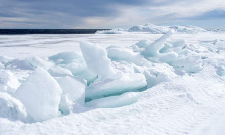 An almost secret world of ice – V