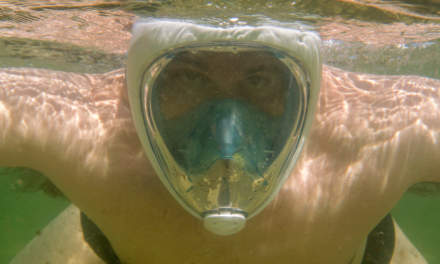 Snorkelling (photo: Annika Kramer)