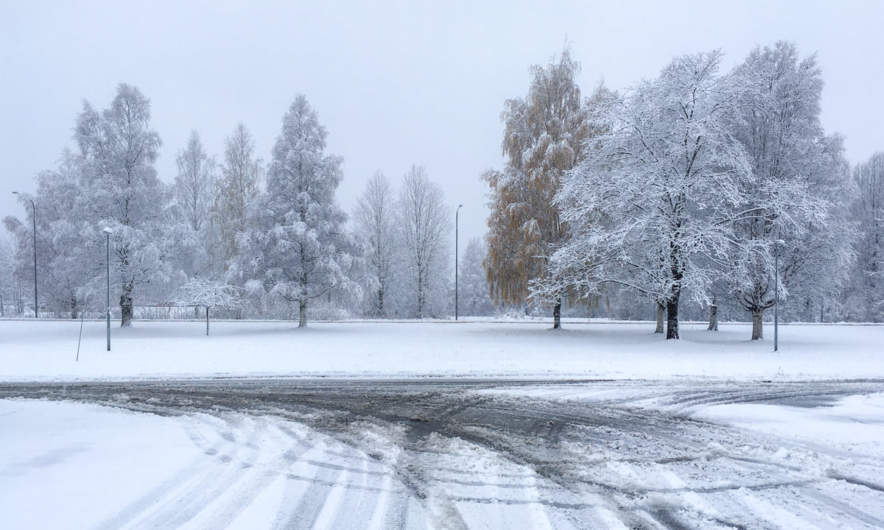 Snow in Skellefteå