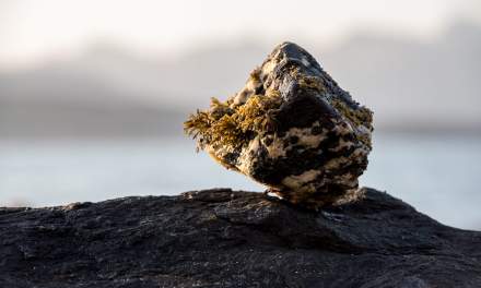 Balanced rock by the coast