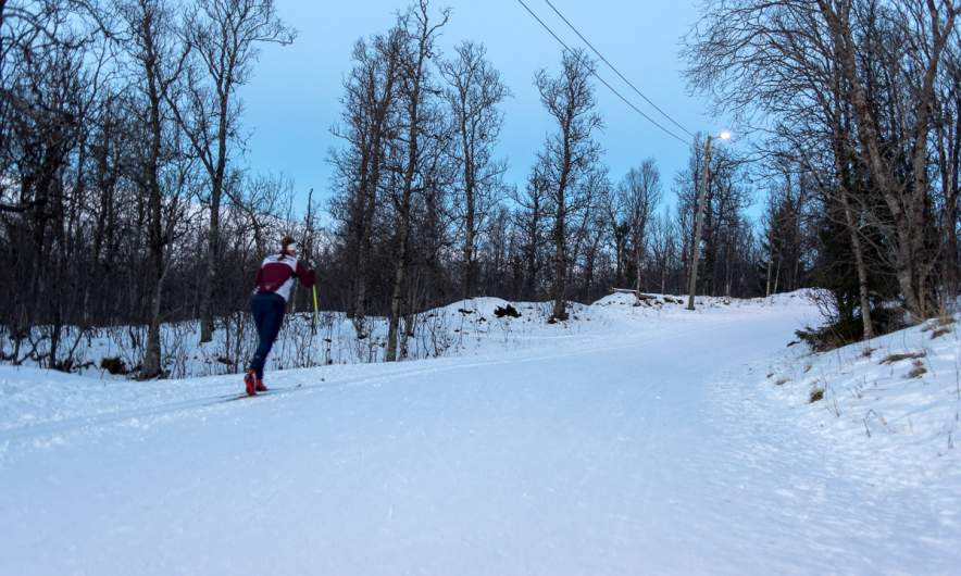 A cross country skier passes by