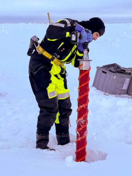 Me taking ice cores on the Arctic sea ice II – photo credit: Pernille Amdahl, Nansen Legacy