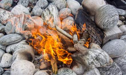 Driftwood fire