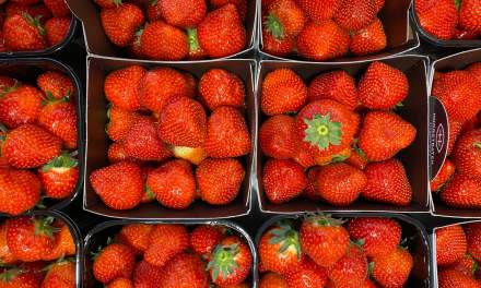Strawberries from the Netherland