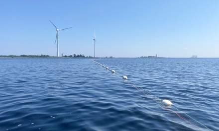 Wind turbines and fishing nets