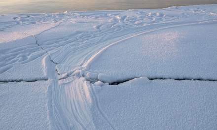 Obbola: kayak drag marks in the snow