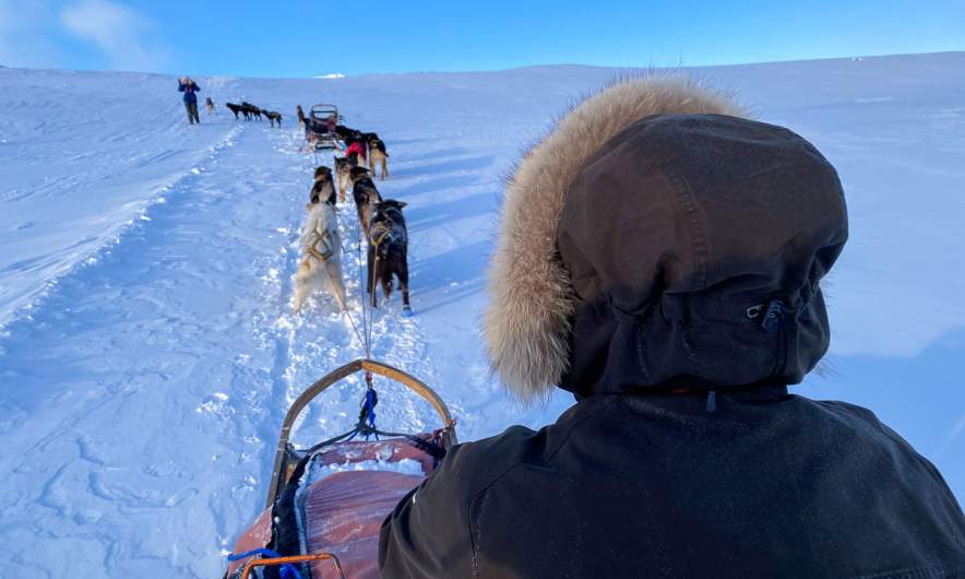 Dog sledding on Spitsbergen I