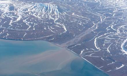 Spitsbergen in June — from the plane II
