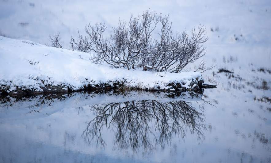Finnvikvatnet in winter – islet reflection