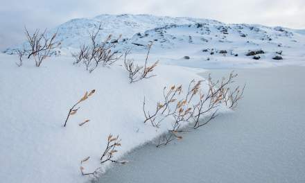 Winter impressions on Kvaløya III