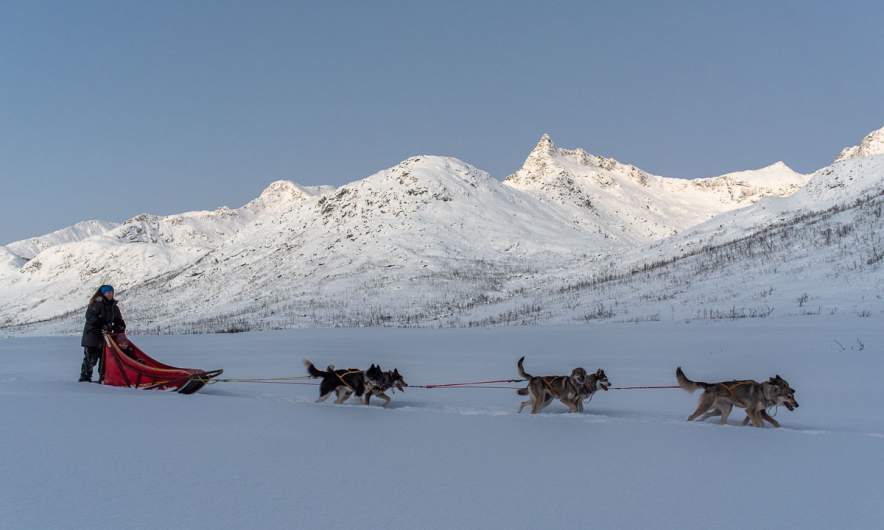One of the dogsleds passing