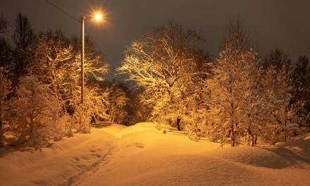 Nightly snow walk III