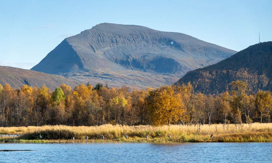 October walk Prestvannet → home I