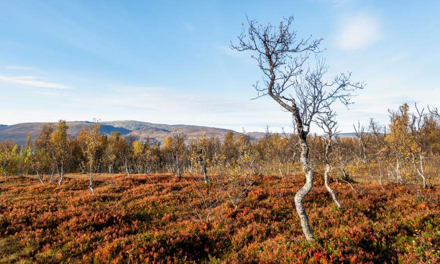 October walk Prestvannet → home II