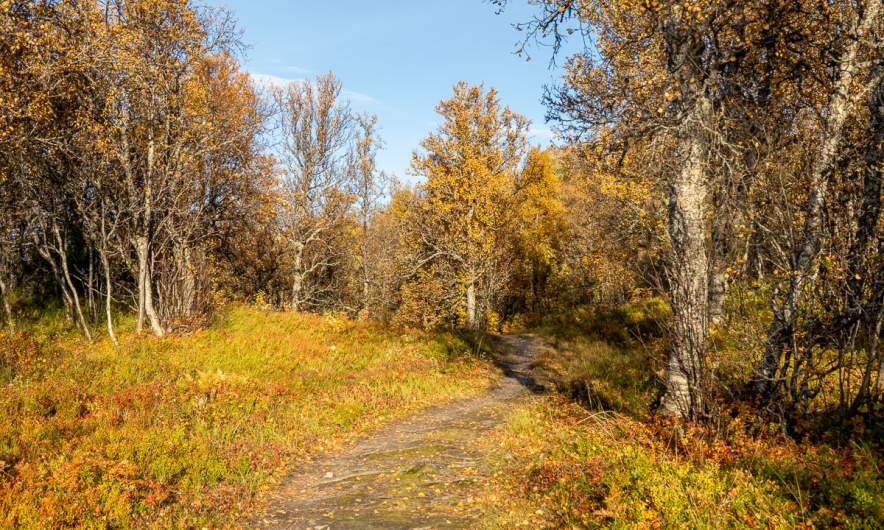 October walk Prestvannet → home III