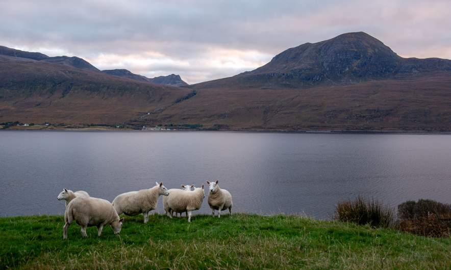 Evening scene in Badrallach