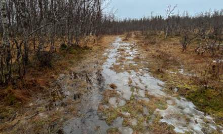 Five days ago I (2025-11-06)