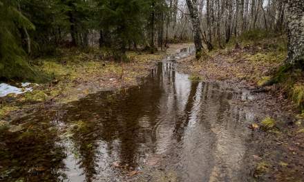 Five days ago II (2025-11-06)