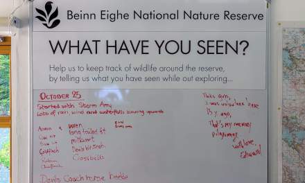 “What have you seen”