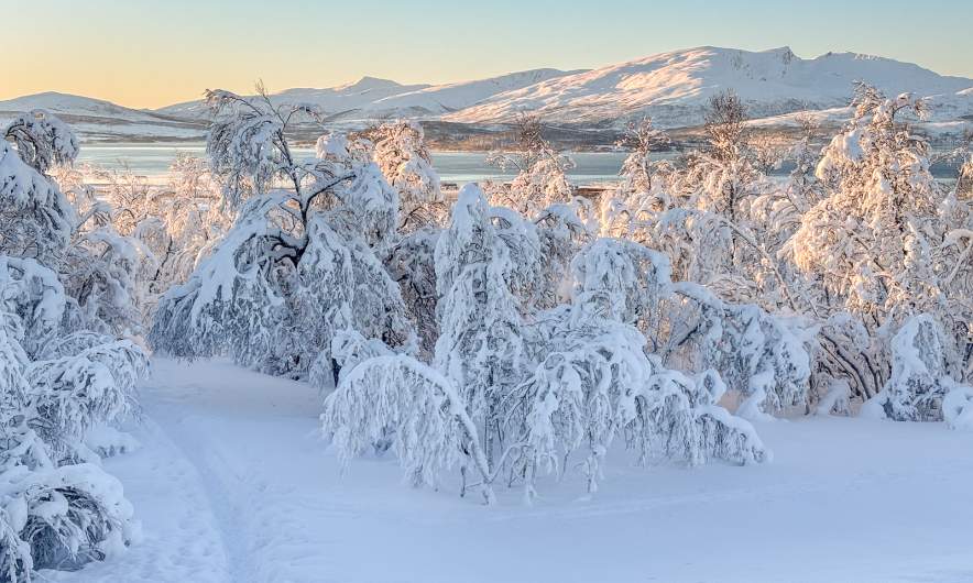 View from a pile of snow