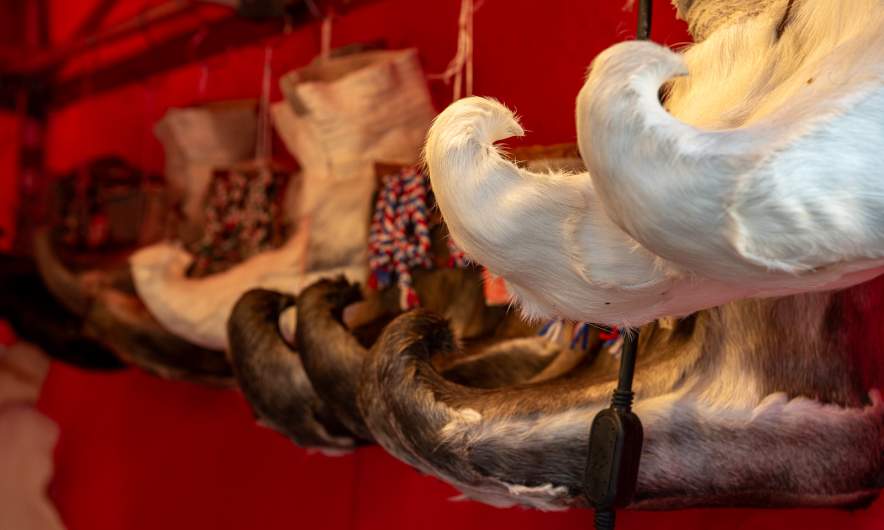 Sámi reindeer boots