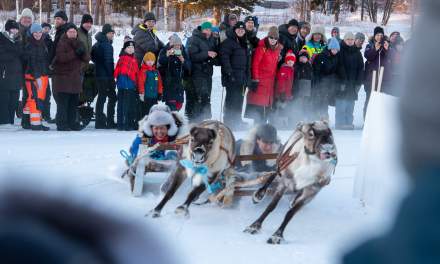 Reindeer race III