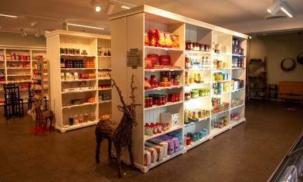 The shop in Kåbdalis