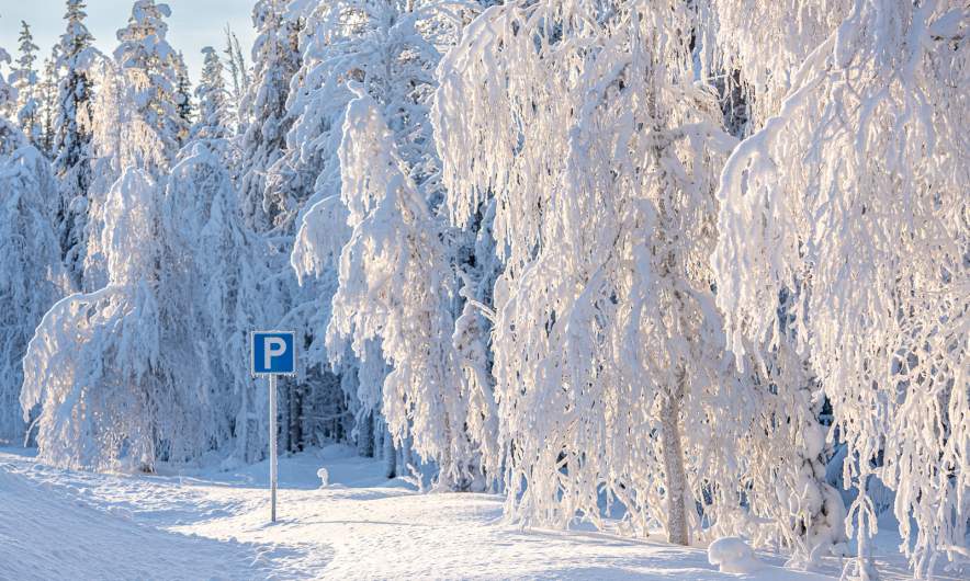 Snowy trees by the road E45 II