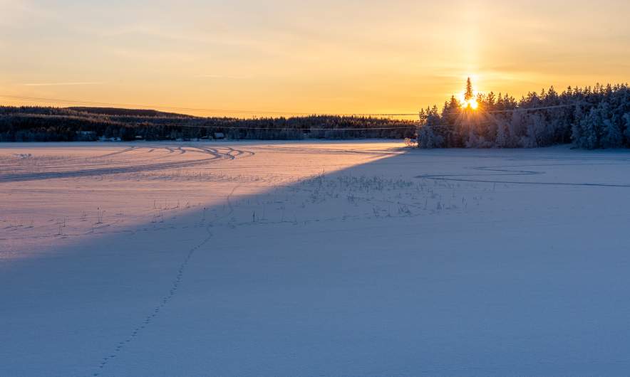Sunrise looking east