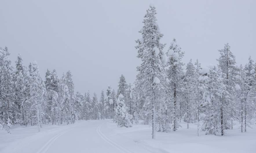 Cross-country ski trail in Hetta IV