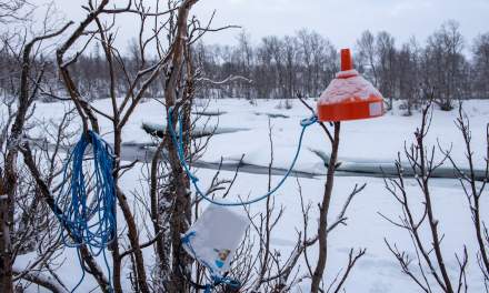 Equipment hanging in the bushes