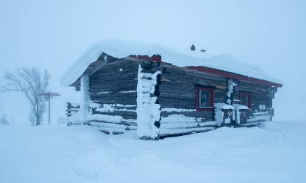 Foggy morning in Sioskuru III