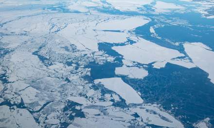 Sea ice on the Baltic sea II