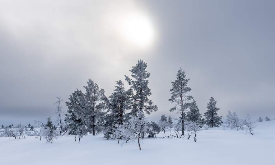 The sun is coming out