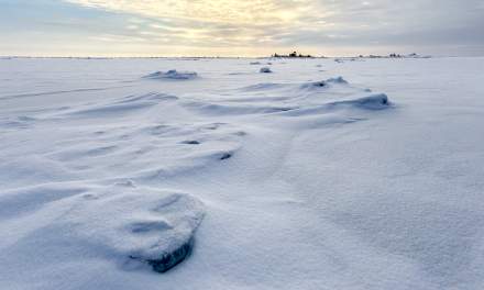 View of Obbolstenana