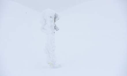 Waymark in whiteout
