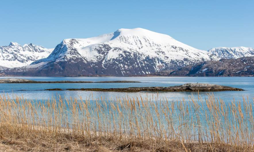 Coast of Sommarøya I