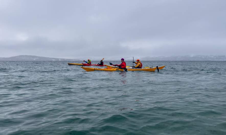 fellow-paddlers-1